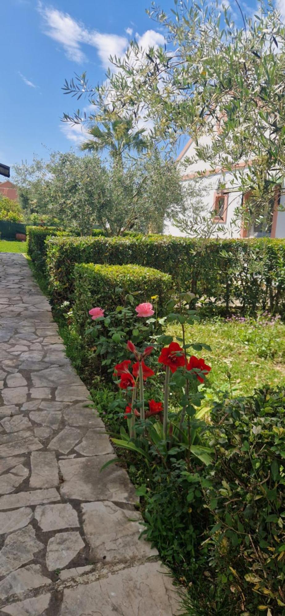 Corfu Studio 4U Roda  Eksteriør billede
